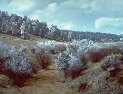 Frost From The Clouds