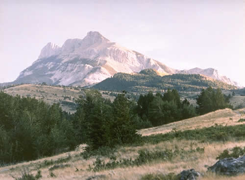 Old Sawtooth