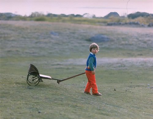 Edward and His Wagon