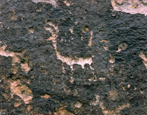 Antelope Petroglyph