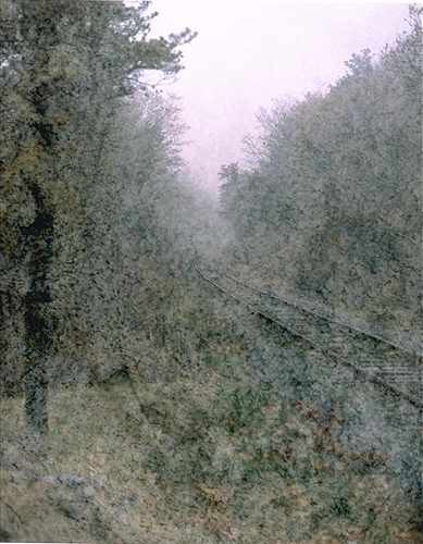Tracks In The Mist
