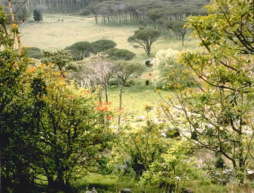 Kruger Memorial