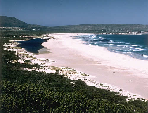 Beach, Cape Of Good Hope