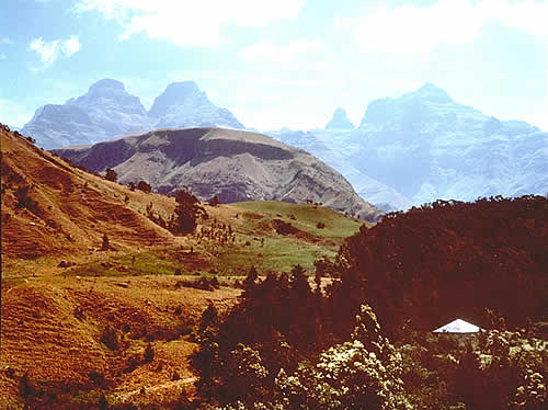 On The Escarpment, Drachensberg