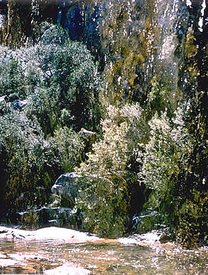 River's Edge