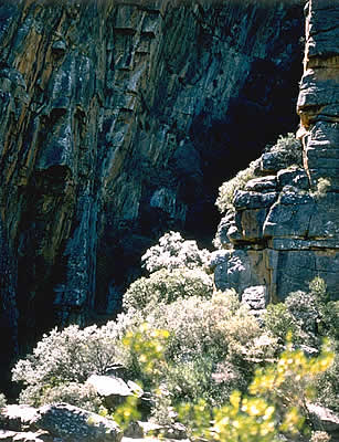 Shining Hillside, Algeria, SA