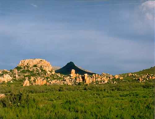 Cedarberg Wilderness (Single)