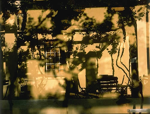 Vineyard Patio In Its Own Shadows