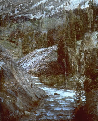 A River's Tale