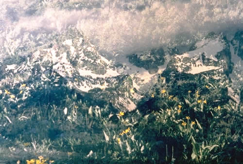 June In The Tetons