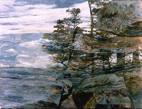 Trees on a Rocky Ledge