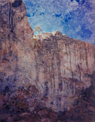 Tree On The Rim, El Morro