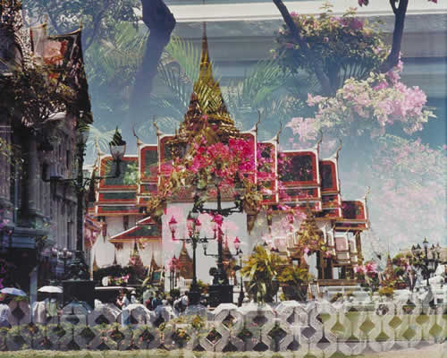 Imperial Palace Flowers, Bangkok