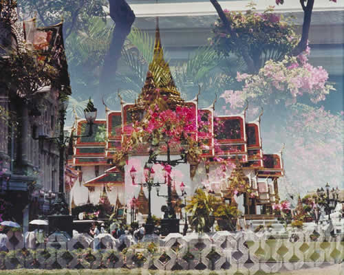 Imperial Palace Flowers, Bangkok