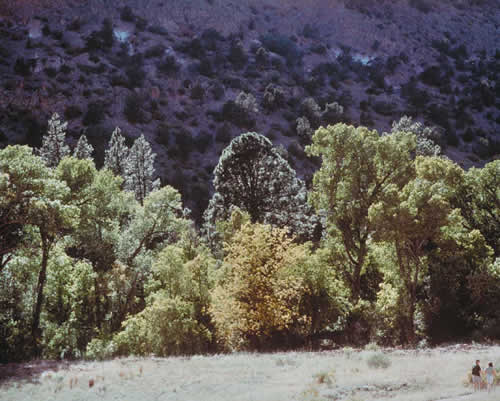 Bandolier Hillside